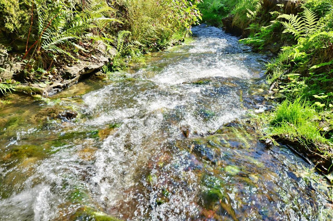 Rezidence Greenhill ⃰ ⃰ ⃰ Kraslice Kültér fotó